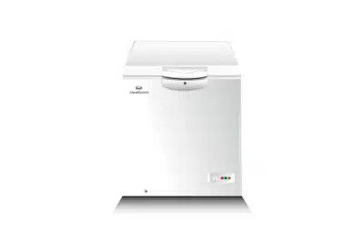 300 W Inverter Single Door Freezer
